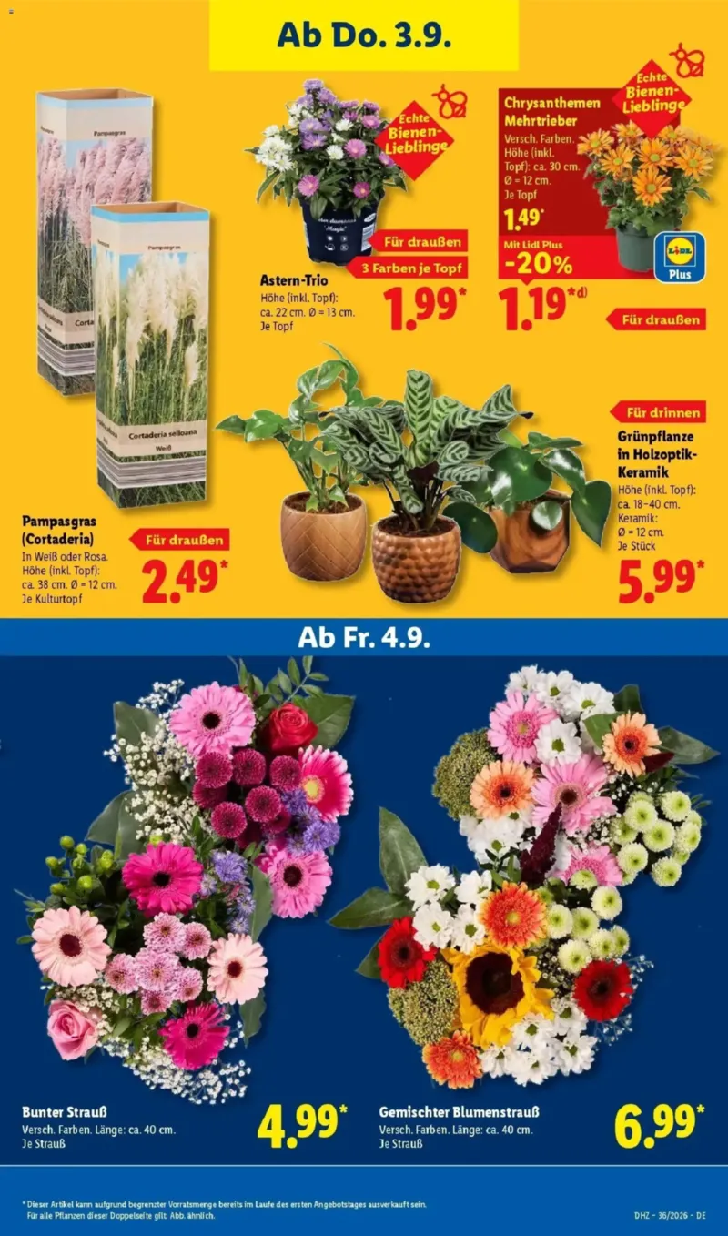 Lidl Prospekt vom 31.08.2026, Seite 27