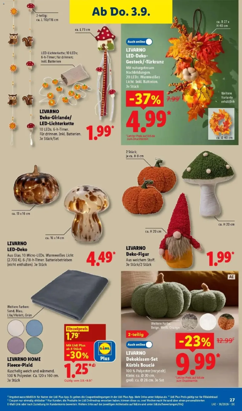 Lidl Prospekt vom 31.08.2026, Seite 45