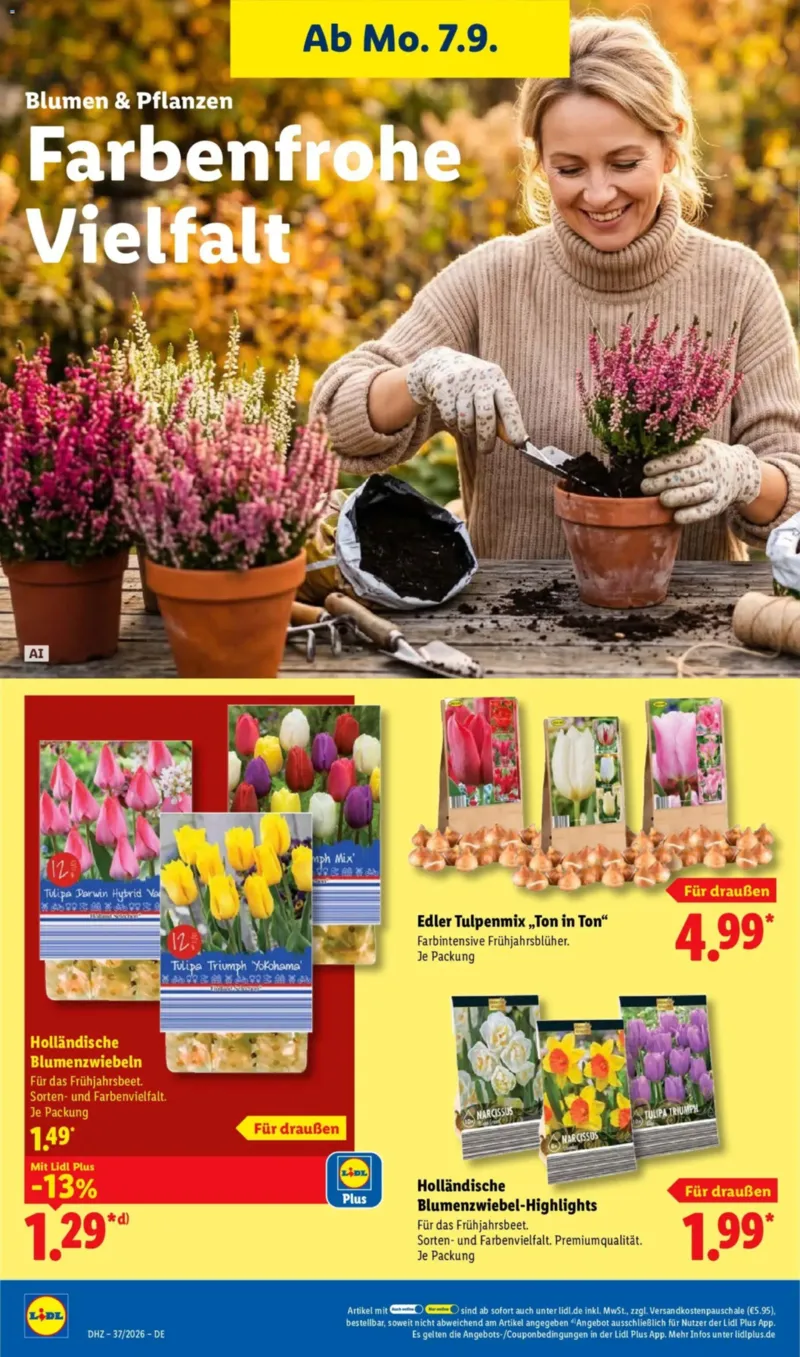 Lidl Prospekt vom 07.09.2026, Seite 26