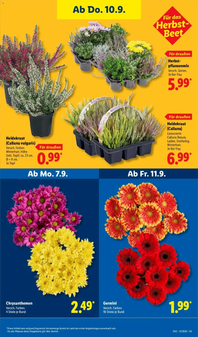 Lidl Prospekt vom 07.09.2026, Seite 27
