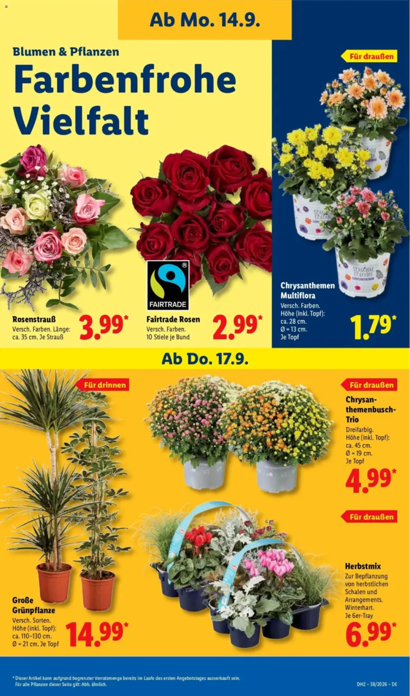 Lidl Prospekt vom 14.09.2026, Seite 23
