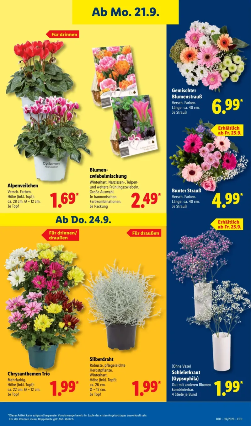 Lidl Prospekt vom 21.09.2026, Seite 21