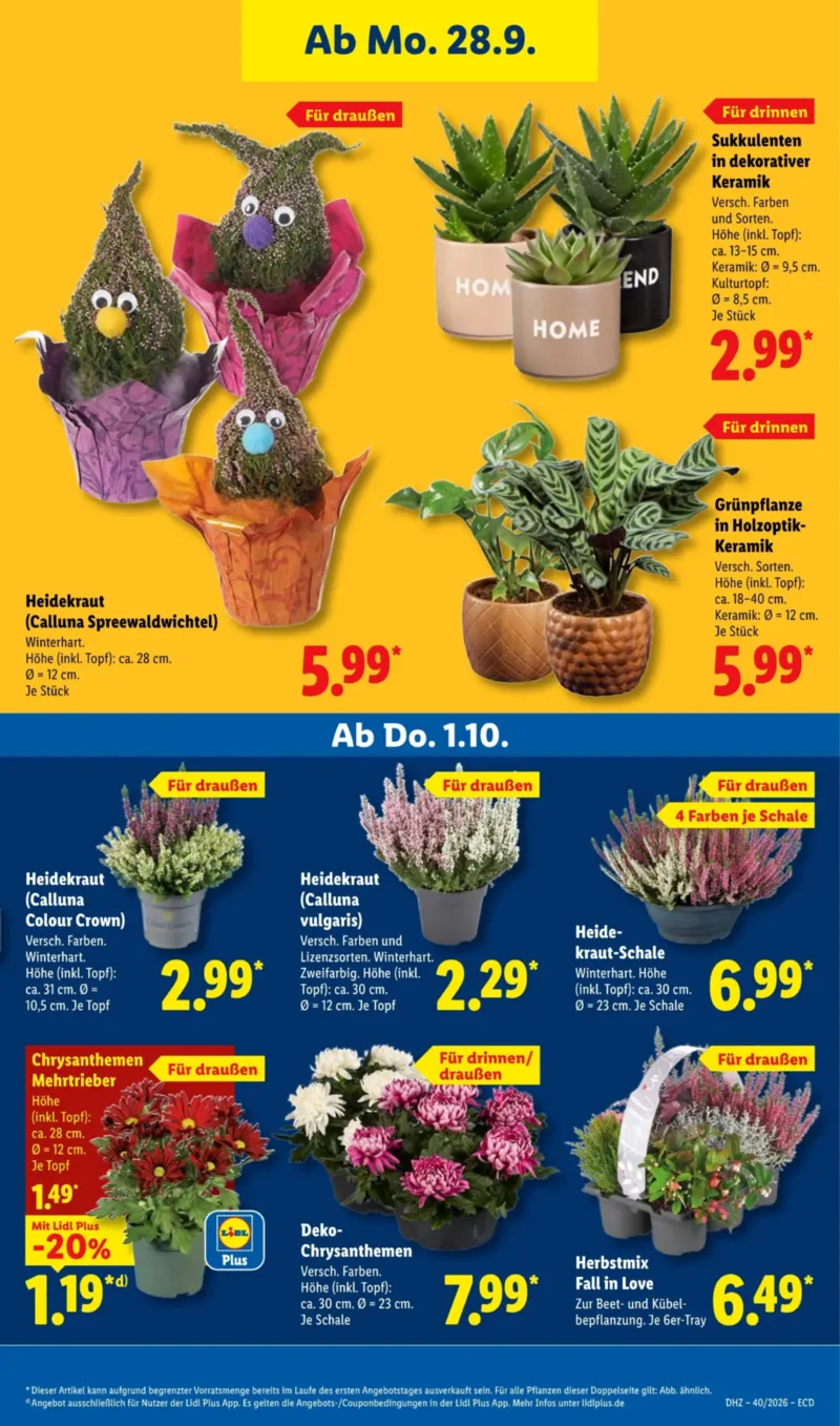 Lidl Prospekt vom 28.09.2026, Seite 25