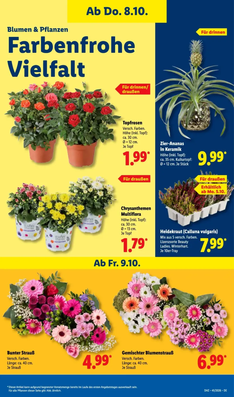 Lidl Prospekt vom 05.10.2026, Seite 17