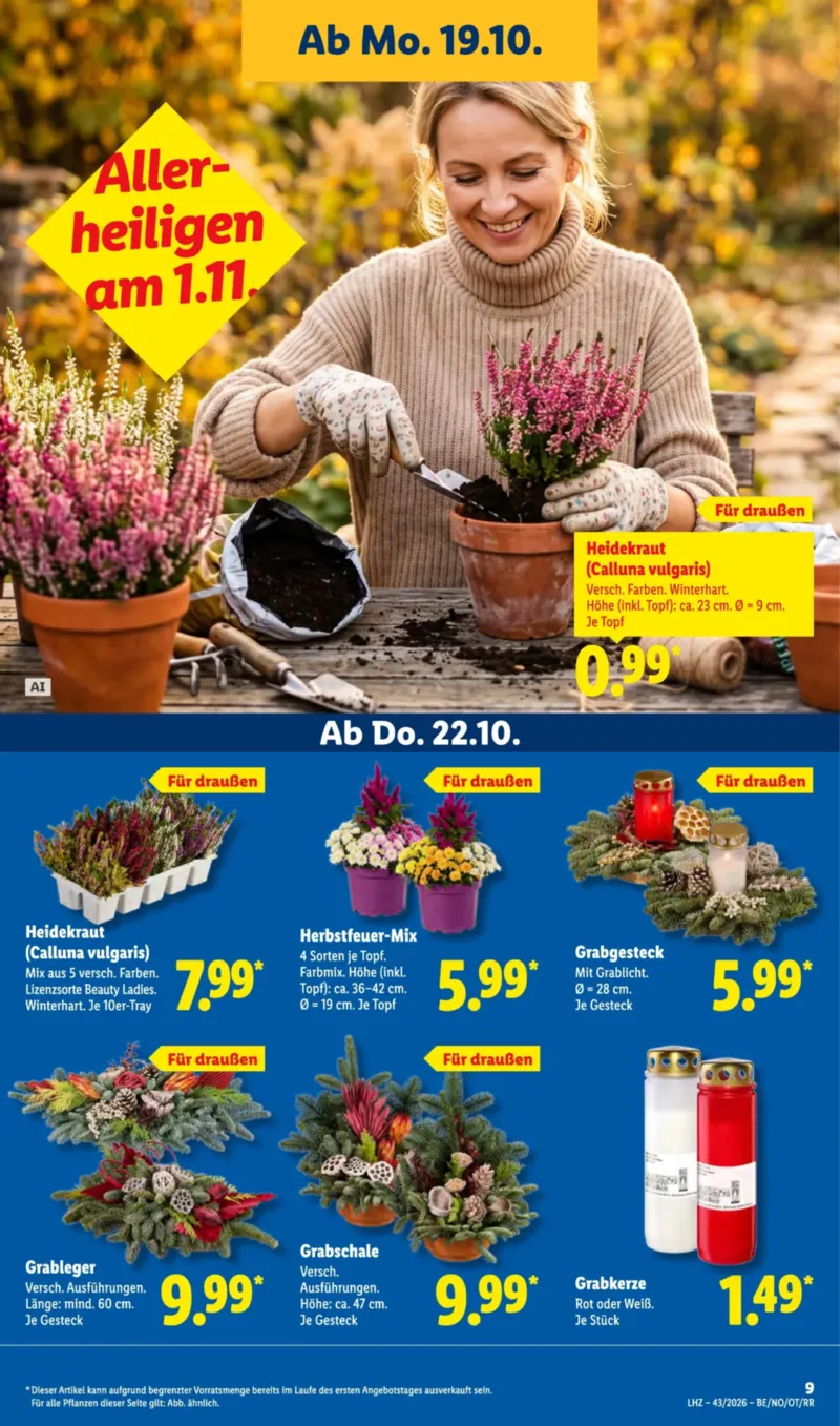 Lidl Prospekt vom 19.10.2026, Seite 17