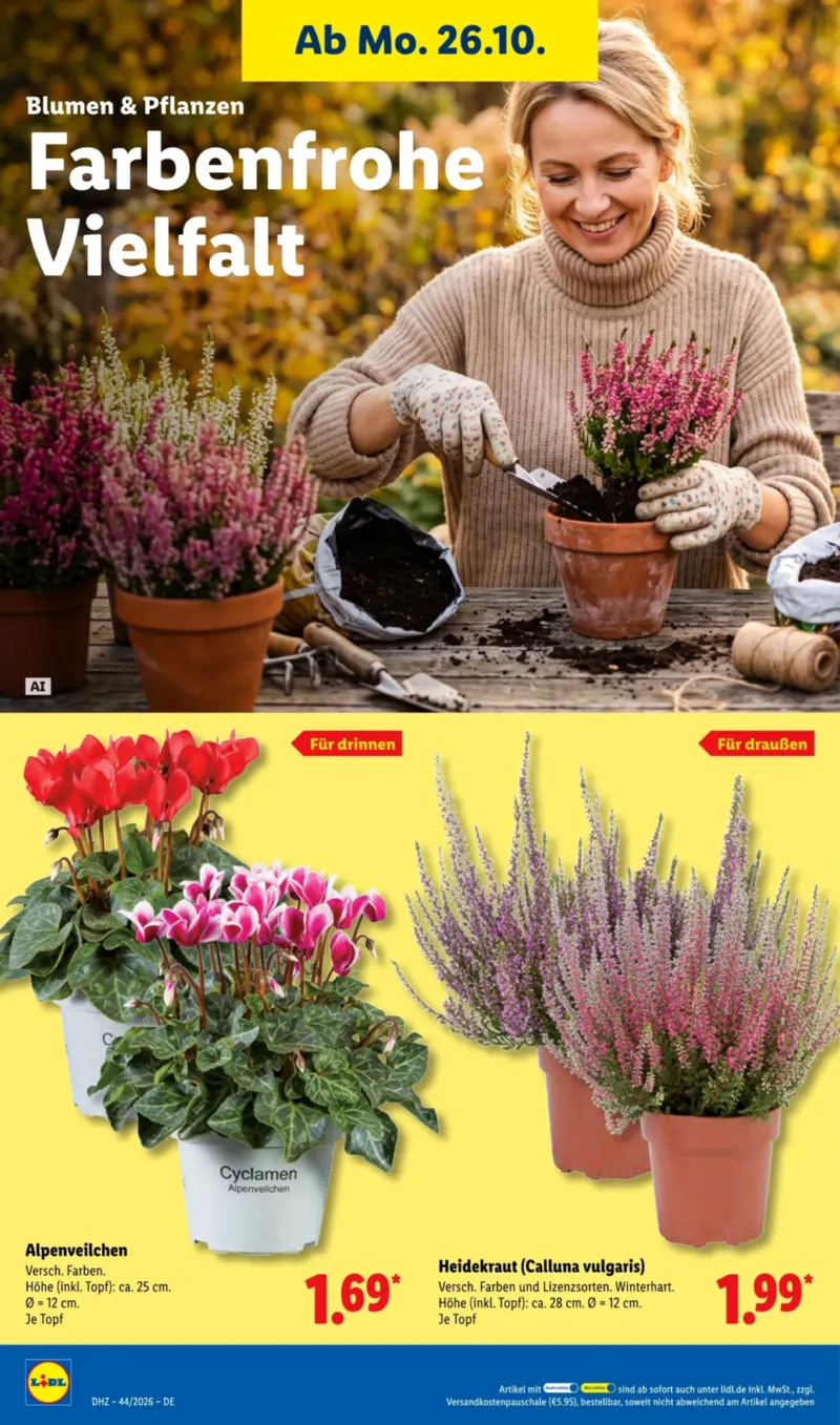 Lidl Prospekt vom 26.10.2026, Seite 32