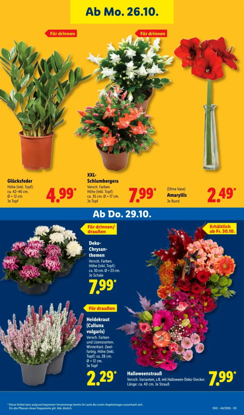 Lidl Prospekt vom 26.10.2026, Seite 33