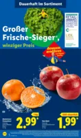 Lidl Prospekt vom 26.10.2026