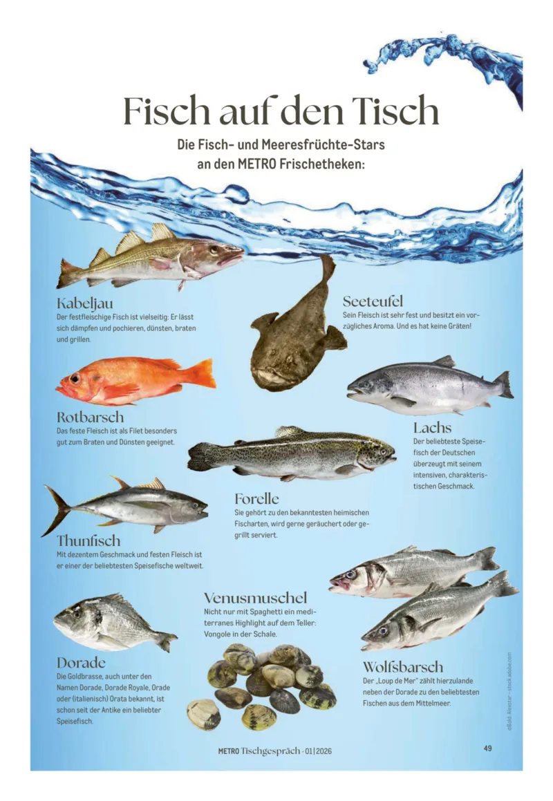 METRO Prospekt vom 01.02.2026, Seite 49