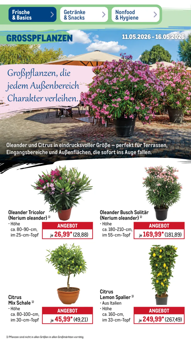 METRO Prospekt vom 11.05.2026, Seite 14