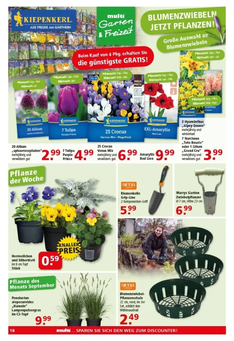 Multi Markt Prospekt vom 28.09.2026, Seite 18