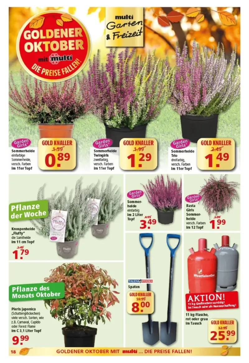 Multi Markt Prospekt vom 05.10.2026, Seite 18