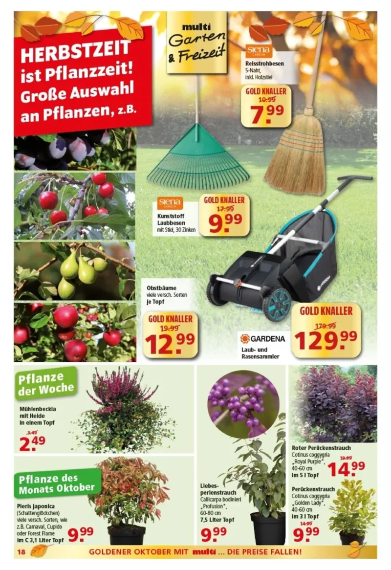 Multi Markt Prospekt vom 12.10.2026, Seite 18