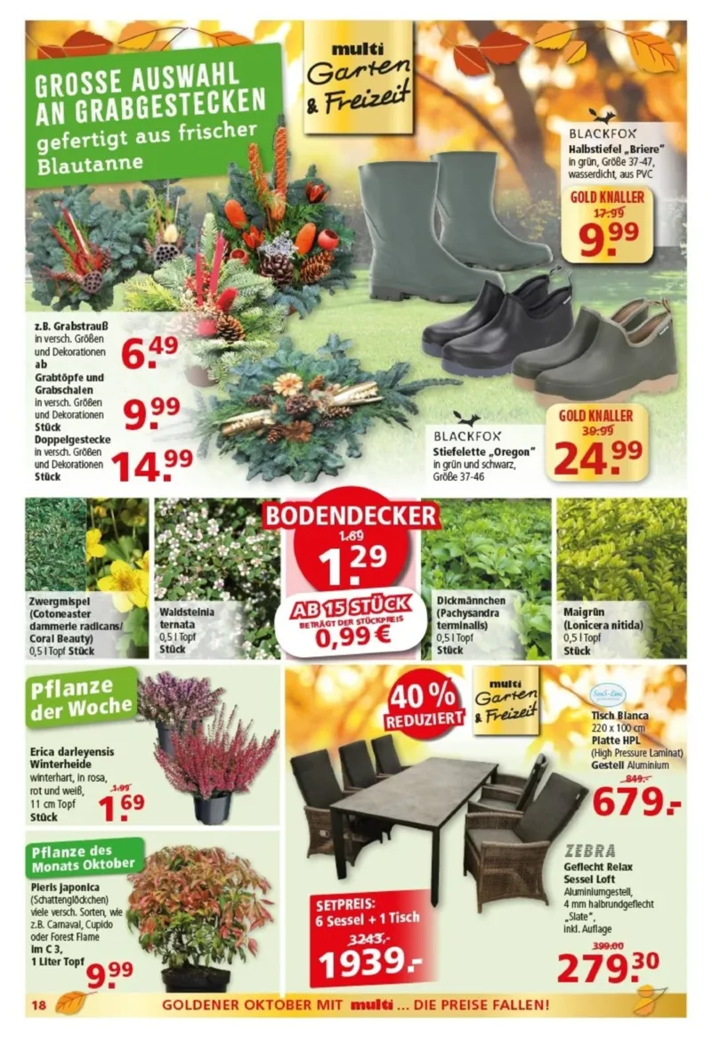 Multi Markt Prospekt vom 19.10.2026, Seite 18