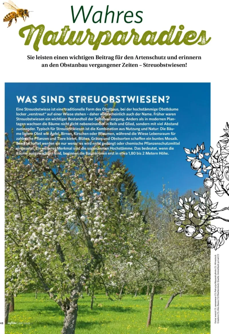 myTime.de Prospekt vom 01.07.2026, Seite 48