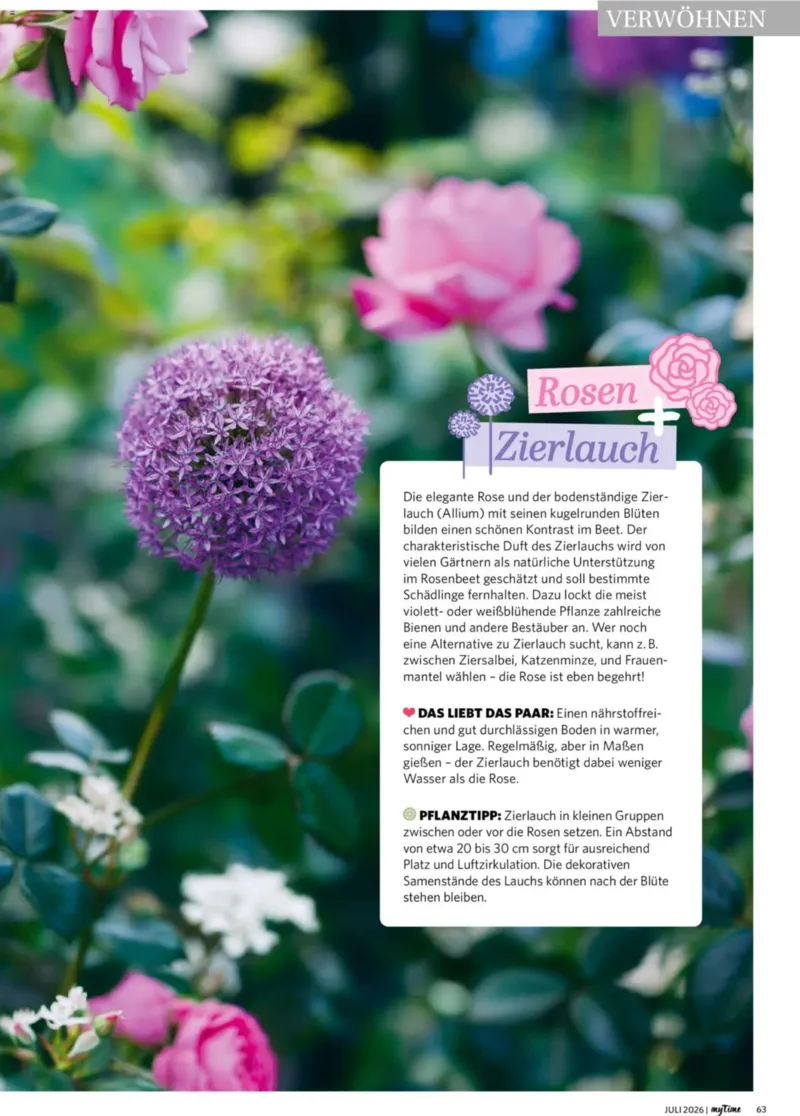 myTime.de Prospekt vom 01.07.2026, Seite 63
