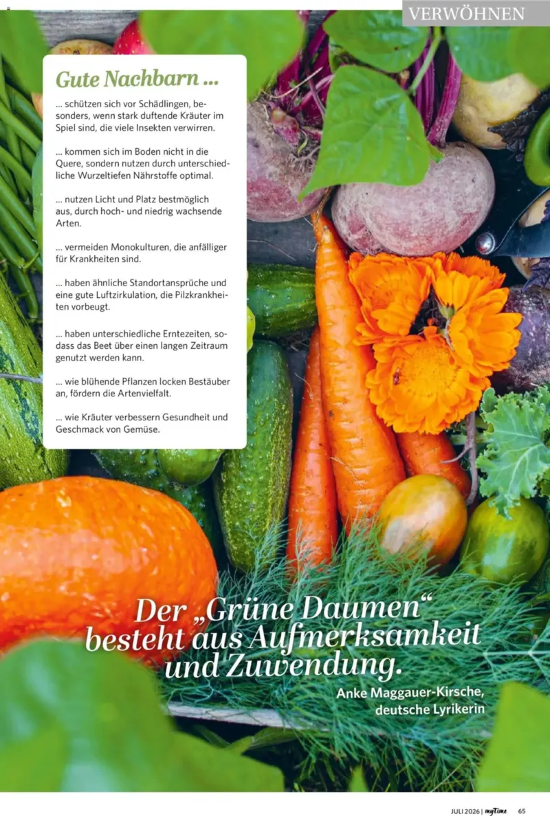 myTime.de Prospekt vom 01.07.2026, Seite 65