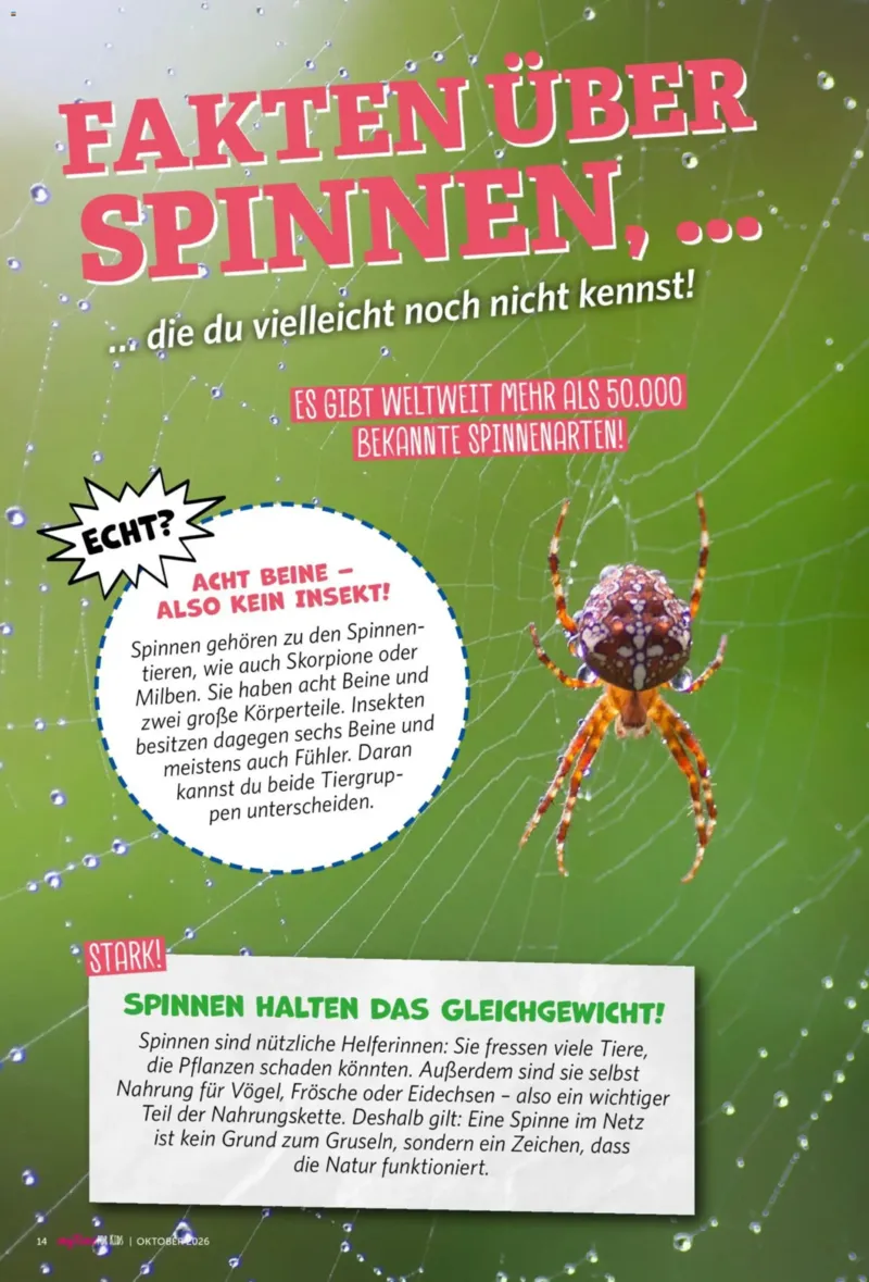 myTime.de Prospekt vom 01.10.2026, Seite 93
