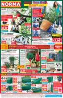 Norma Prospekt nächster Woche