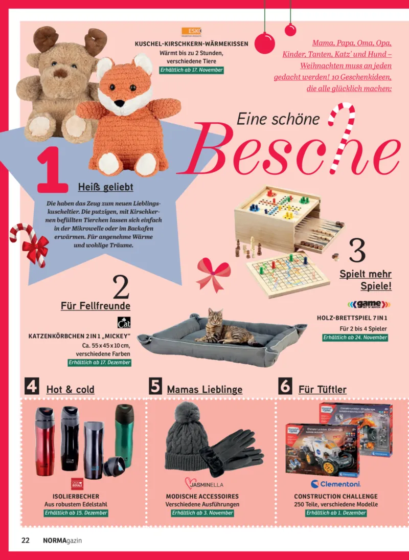 Norma Prospekt vom 01.11.2025, Seite 22