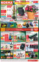 Norma Prospekt nächster Woche
