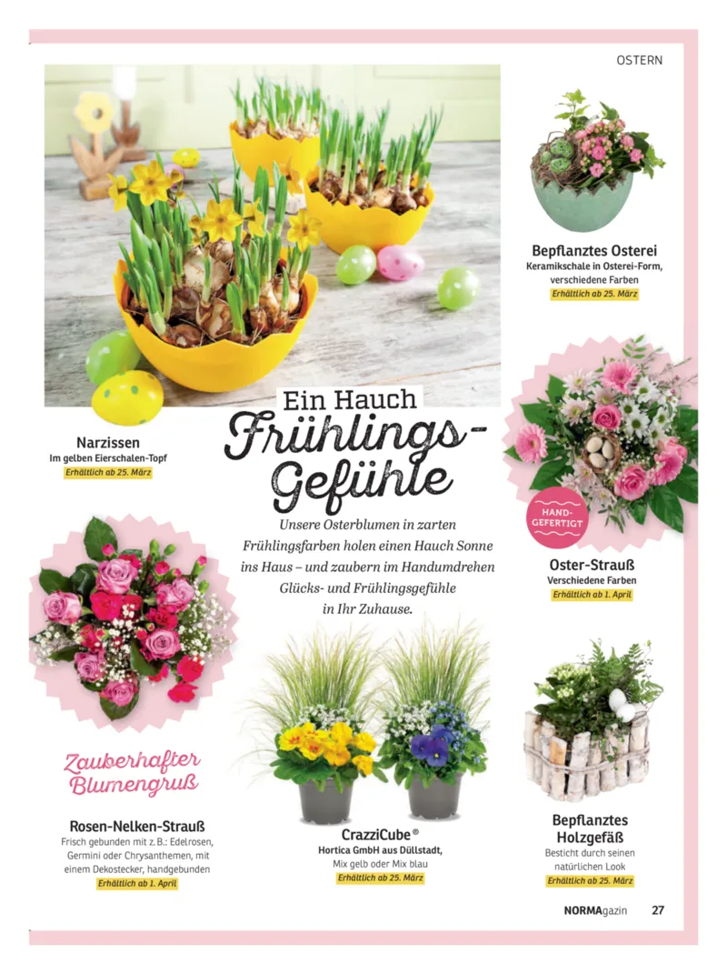 Norma Prospekt vom 01.03.2026, Seite 27