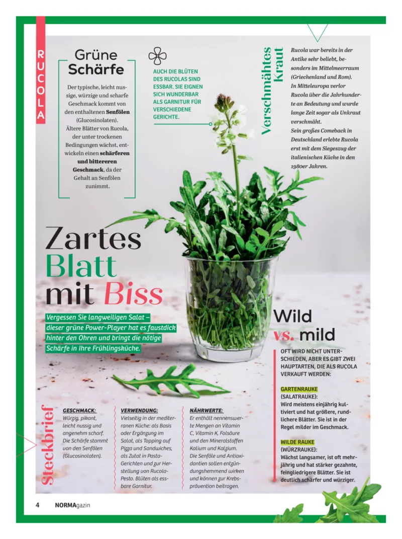 Norma Prospekt vom 01.03.2026, Seite 4