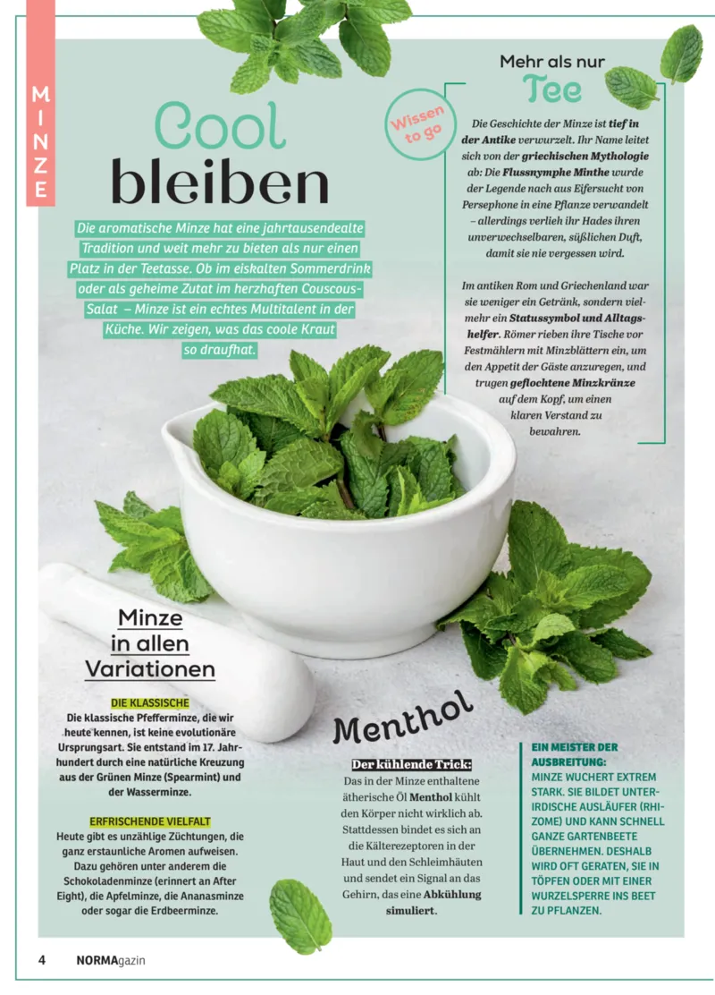 Norma Prospekt vom 01.05.2026, Seite 4