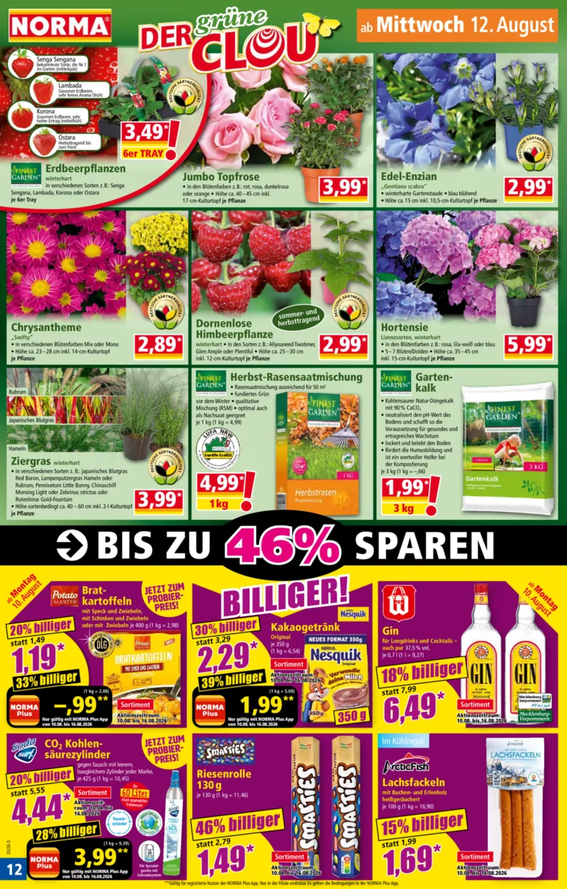 Norma Prospekt vom 10.08.2026, Seite 13