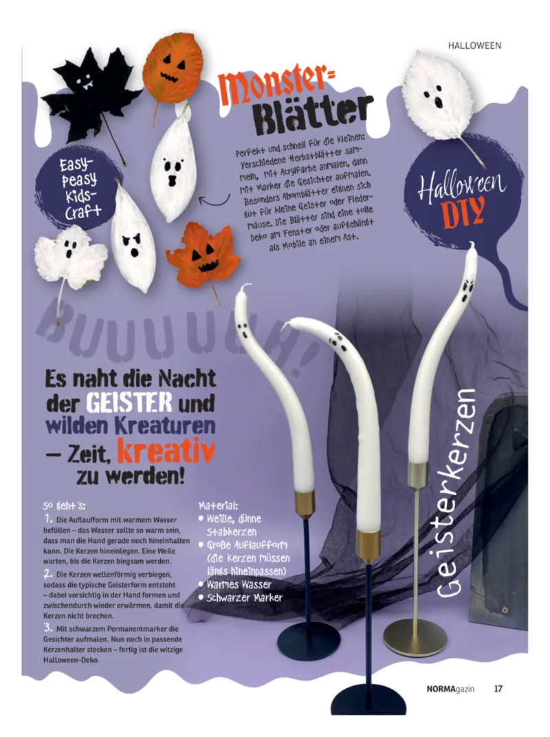 Norma Prospekt vom 01.09.2026, Seite 17