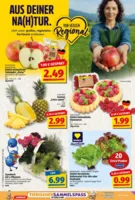 NP Markt Prospekt vom 01.09.2025