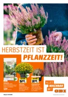 OBI Prospekt vom 01.09.2025