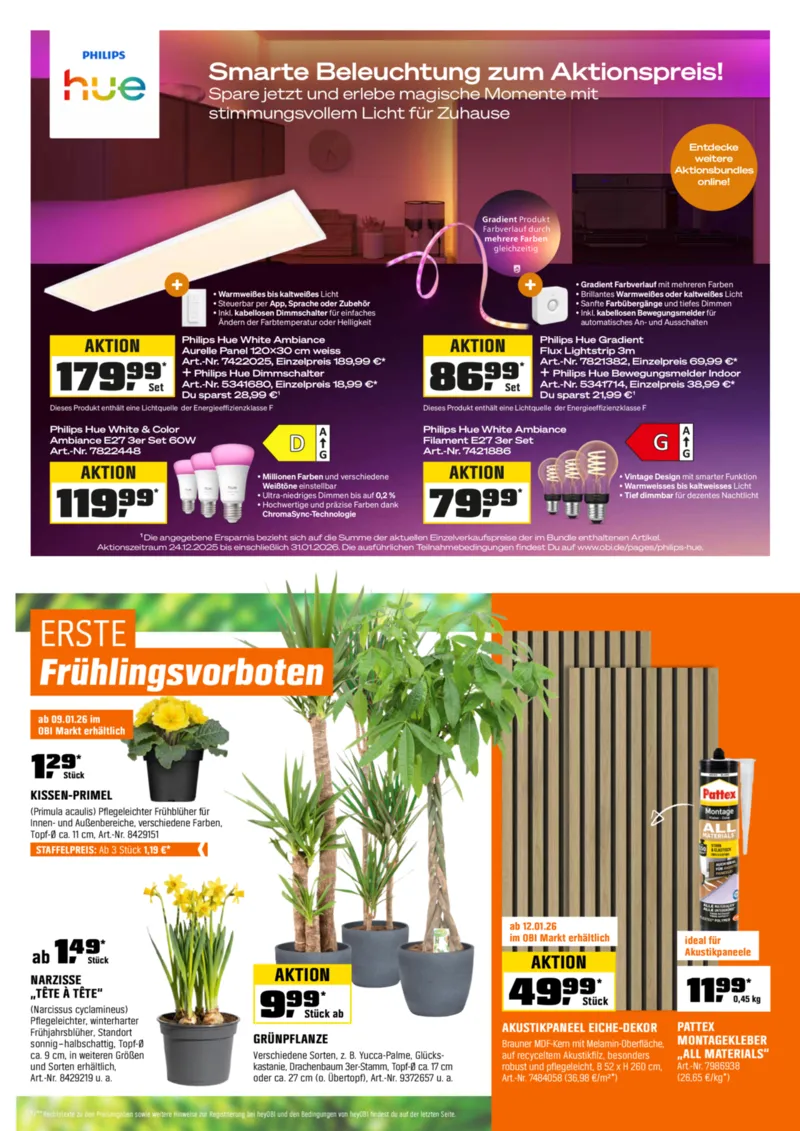 OBI Prospekt vom 27.12.2025, Seite 9