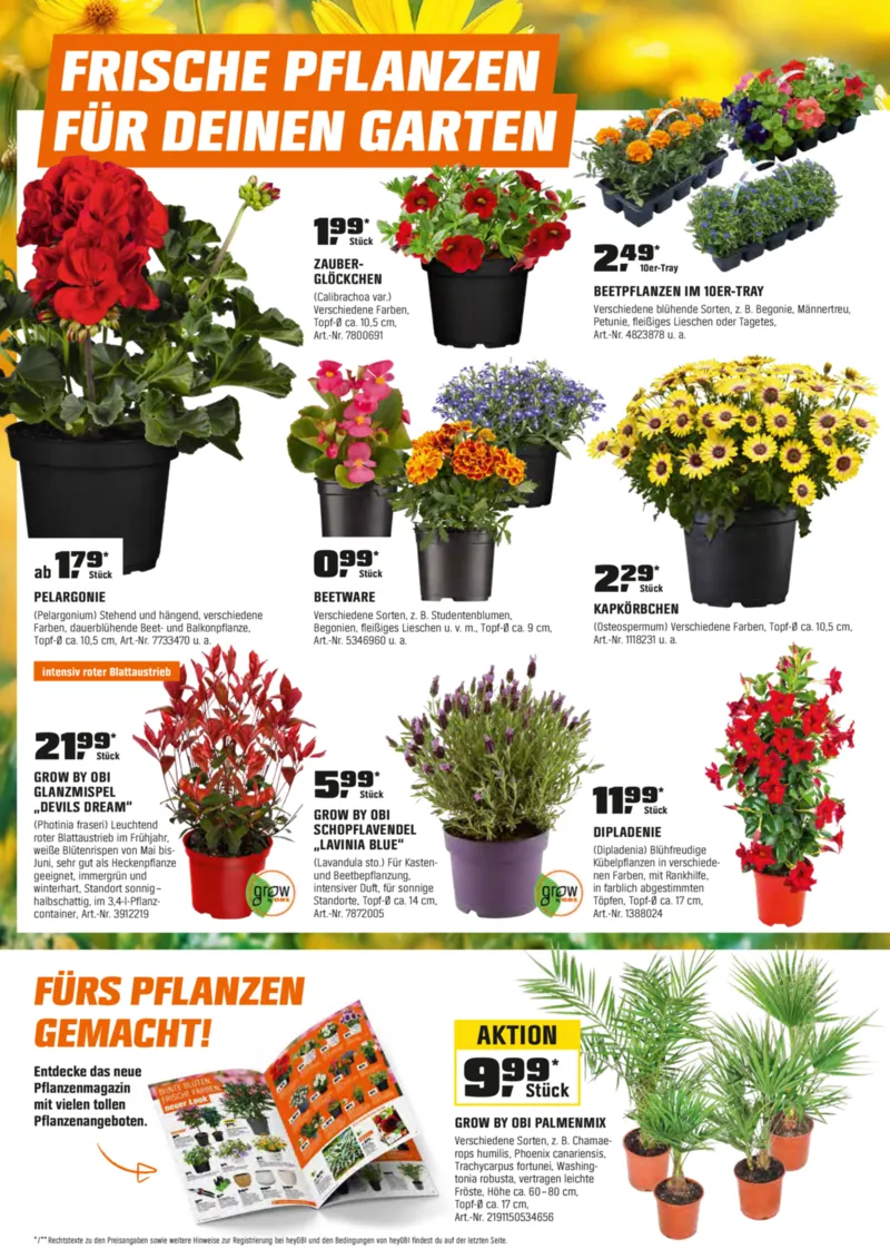 OBI Prospekt vom 27.03.2026, Seite 2