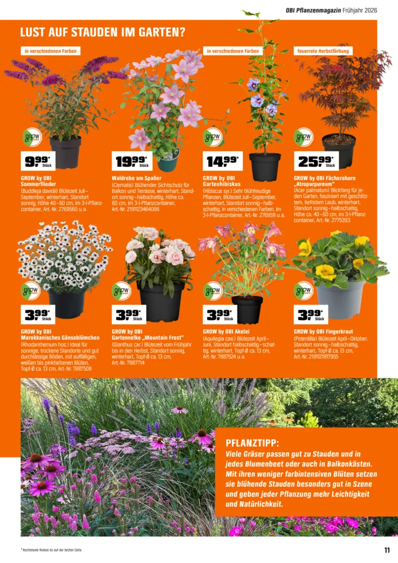 OBI Prospekt vom 01.04.2026, Seite 11
