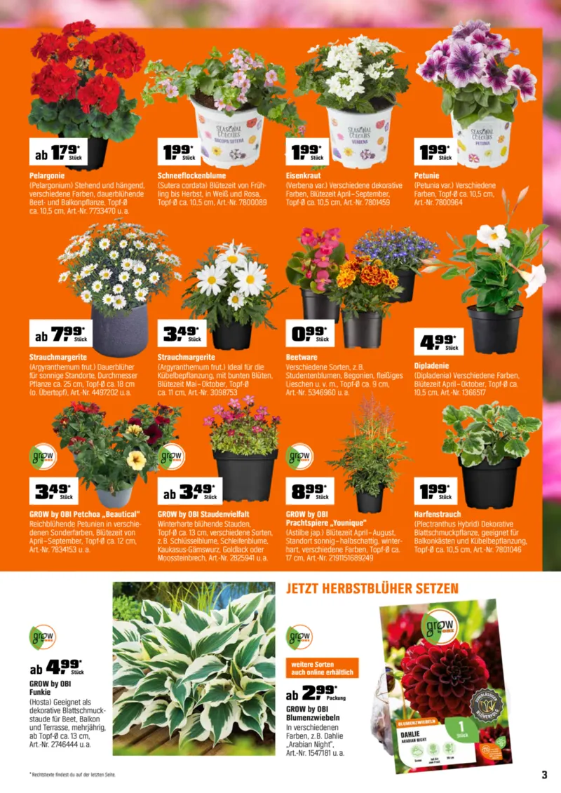 OBI Prospekt vom 01.04.2026, Seite 3