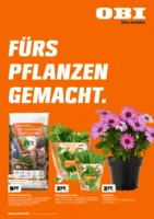OBI Prospekt vom 01.04.2026