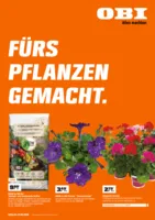 OBI Prospekt vom 01.05.2026