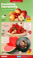 Penny Markt Prospekt vom 30.06.2025