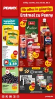 Penny Markt Prospekt vom 25.08.2025