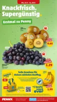Penny Markt Prospekt vom 15.09.2025
