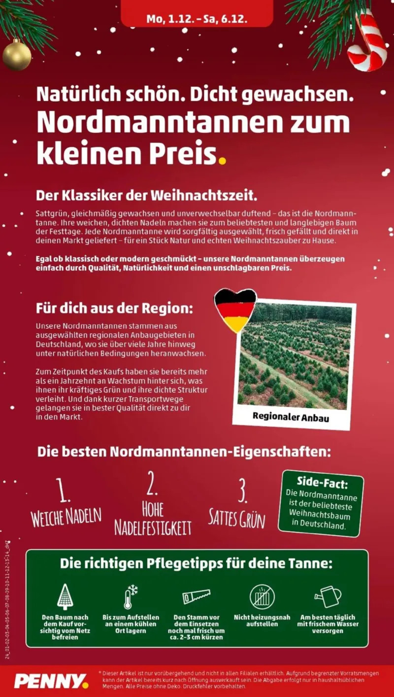 Penny Markt Prospekt vom 01.12.2025, Seite 30