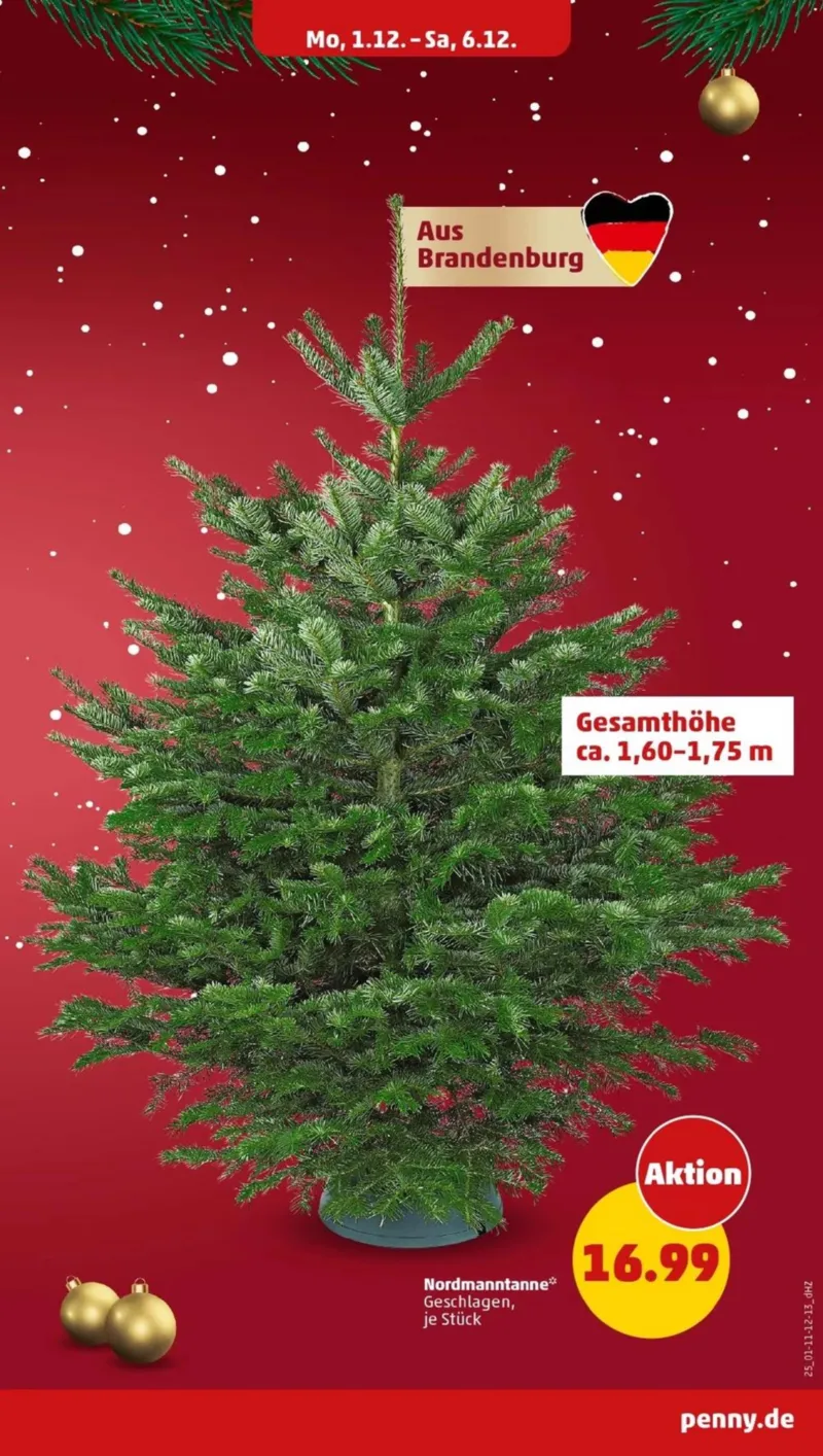 Penny Markt Prospekt vom 01.12.2025, Seite 31