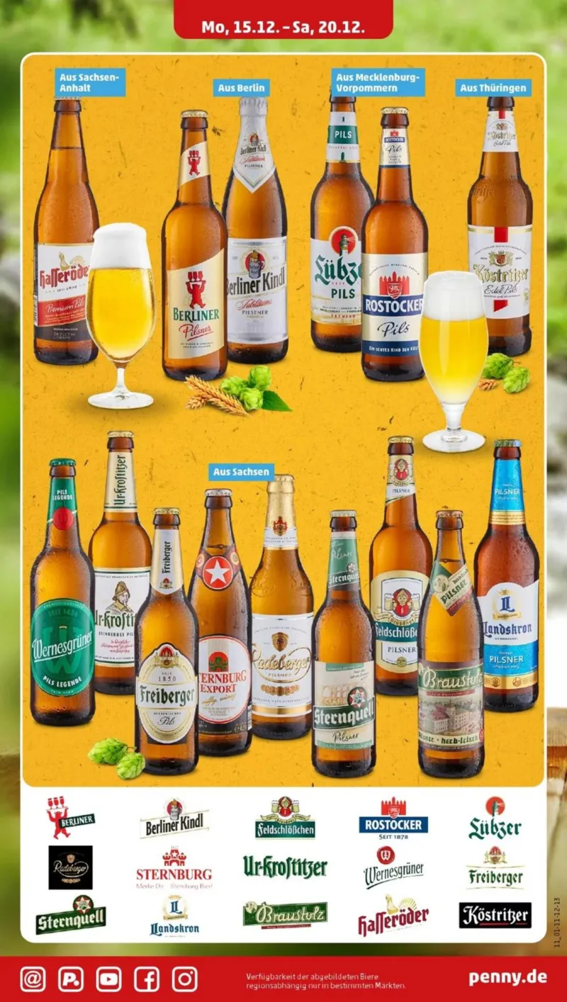 Penny Markt Prospekt vom 15.12.2025, Seite 15