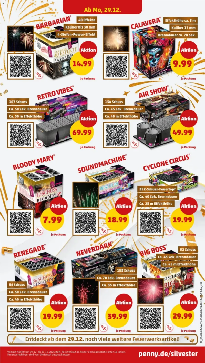 Penny Markt Prospekt vom 22.12.2025, Seite 41