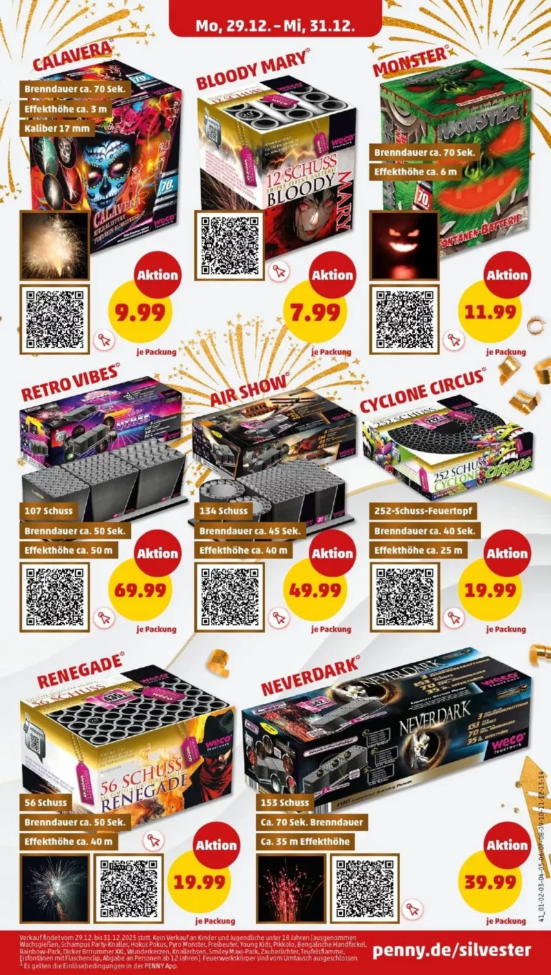 Penny Markt Prospekt vom 29.12.2025, Seite 31