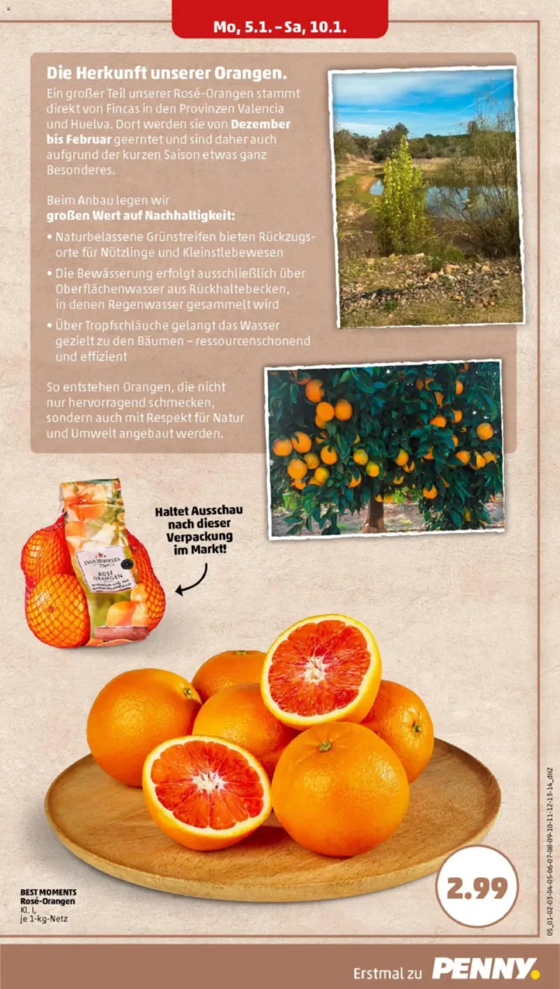 Penny Markt Prospekt vom 05.01.2026, Seite 5