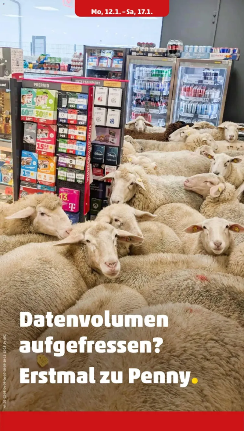 Penny Markt Prospekt vom 12.01.2026, Seite 24