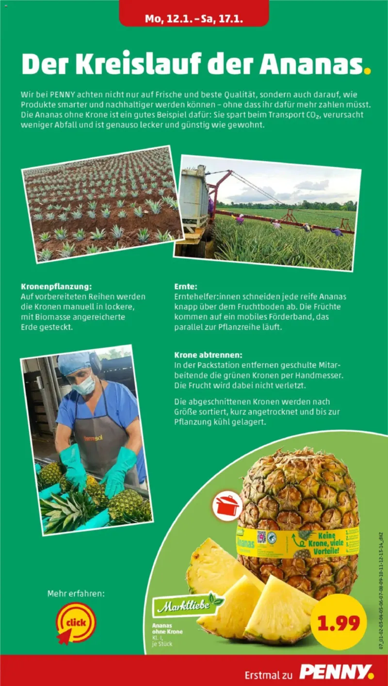 Penny Markt Prospekt vom 12.01.2026, Seite 9