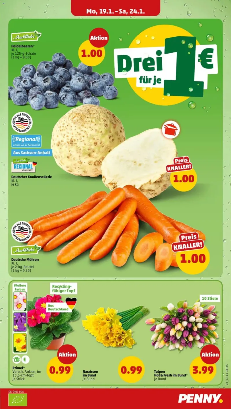 Penny Markt Prospekt vom 19.01.2026, Seite 5